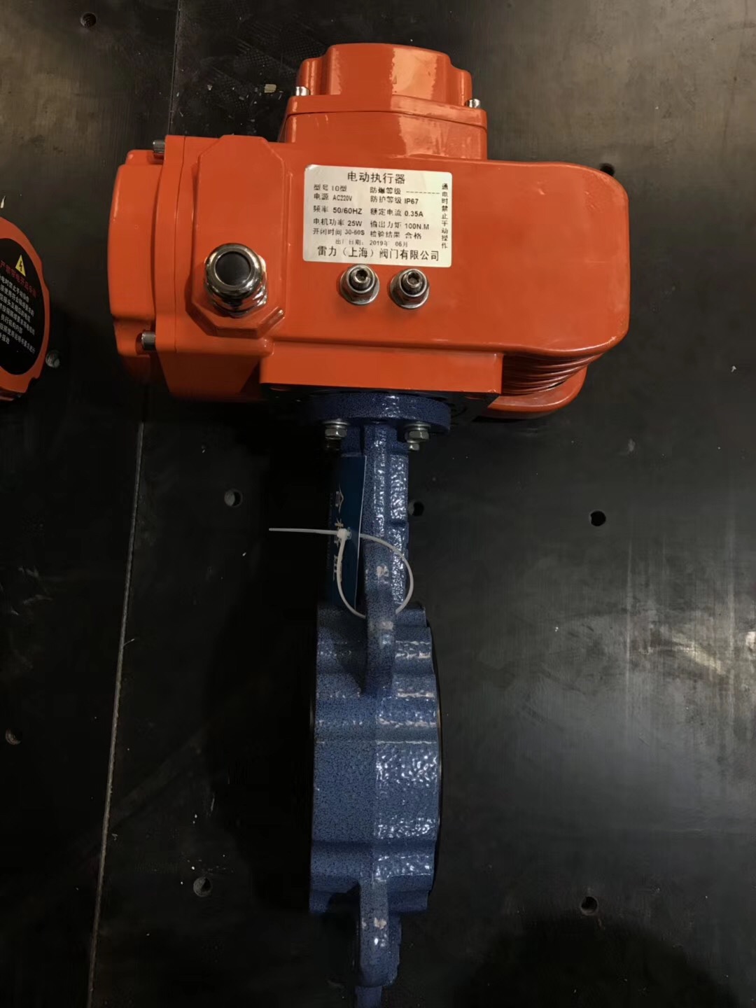 雷力閥門全新精小型執行器真正的防爆戶外產品