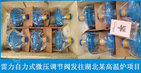 雷力ZZVP自力式微壓調(diào)節(jié)閥發(fā)往湖北某高溫爐項目