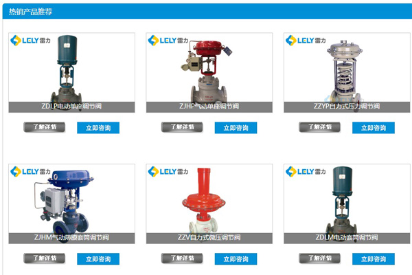 雷力熱銷調節閥產品推薦.jpg